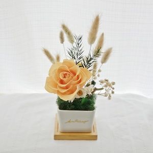 Meet your Posher, Nicholas